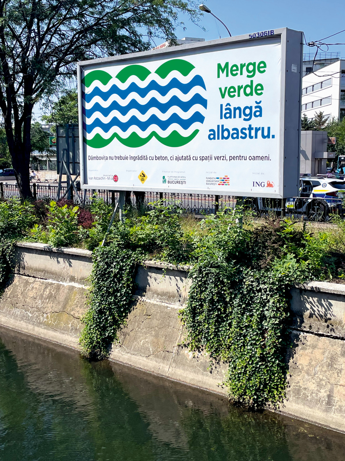 img-5879-3-cercuri-full